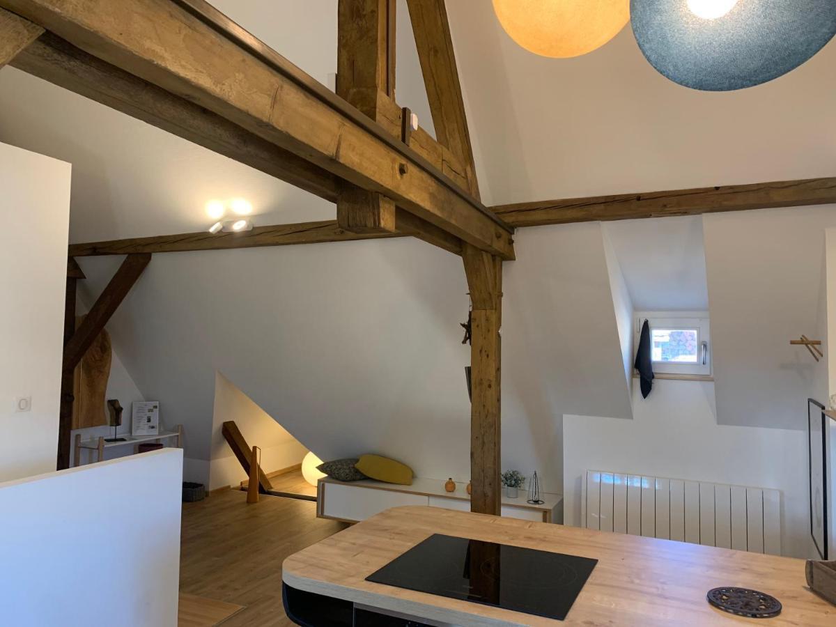 Le Loft Apartment Colmar Bagian luar foto