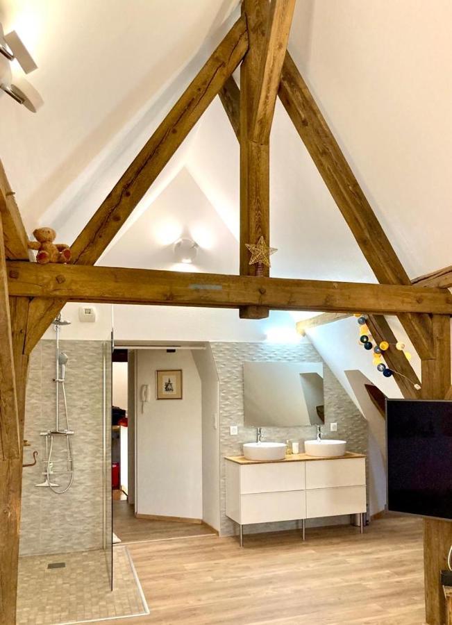 Le Loft Apartment Colmar Bagian luar foto