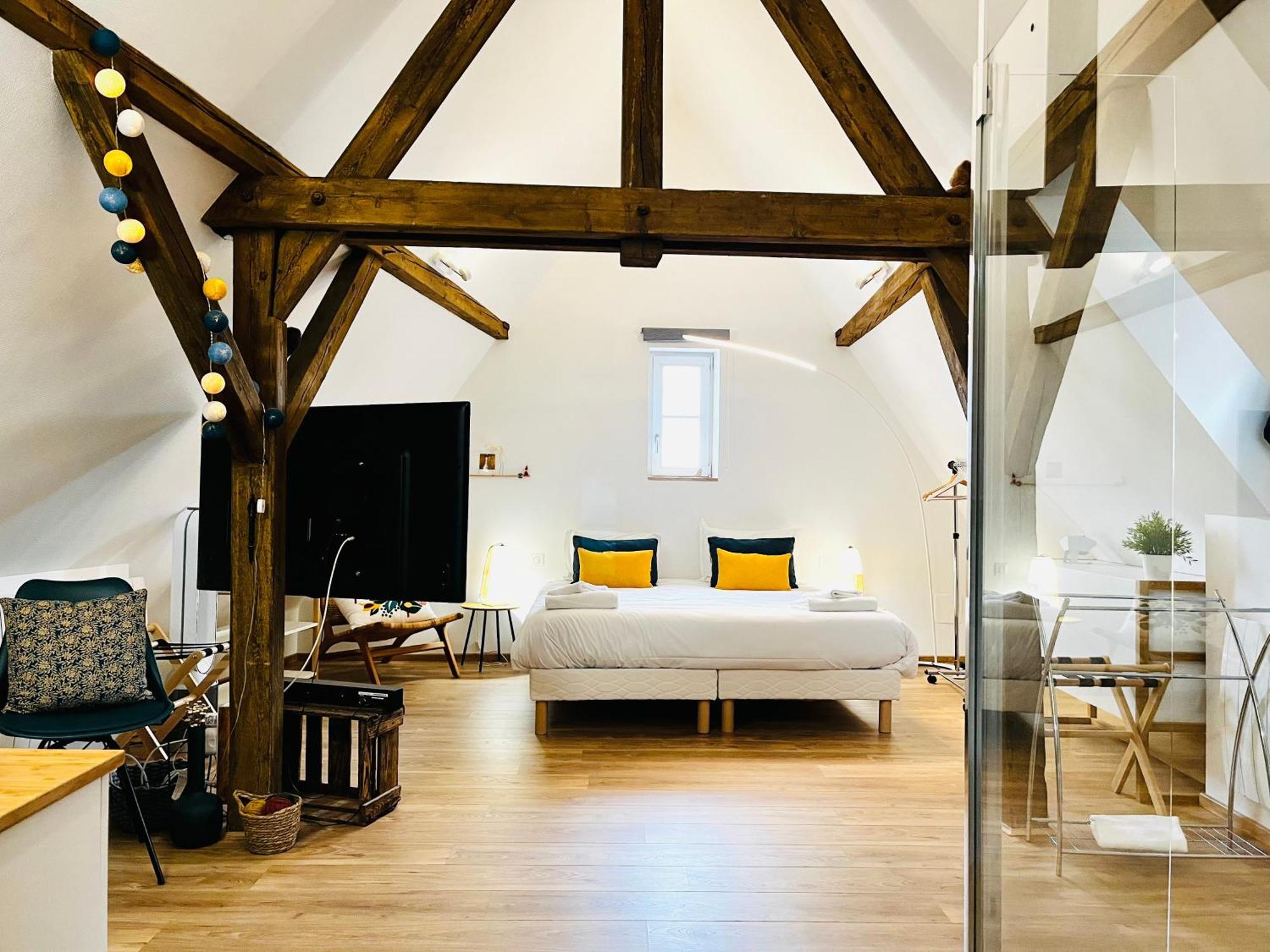 Le Loft Apartment Colmar Bagian luar foto