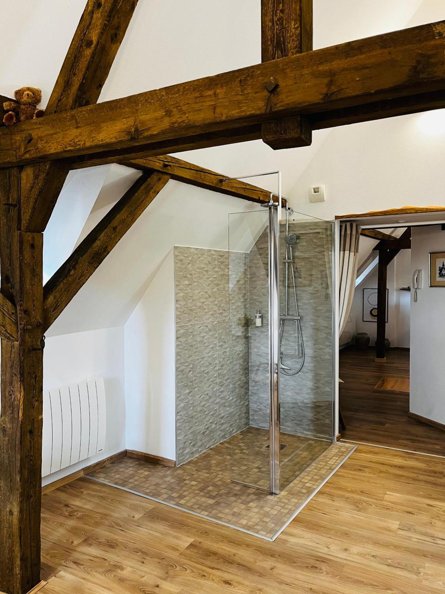 Le Loft Apartment Colmar Bagian luar foto